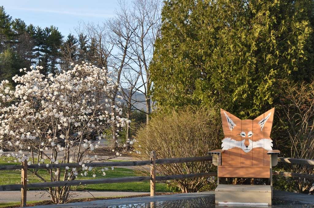 Fox Ridge Resort North Conway Esterno foto