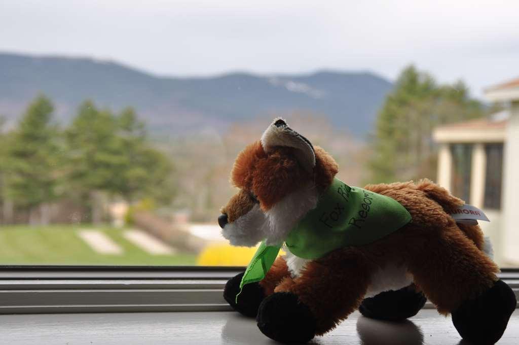 Fox Ridge Resort North Conway Esterno foto