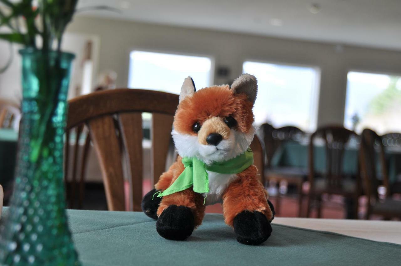 Fox Ridge Resort North Conway Esterno foto